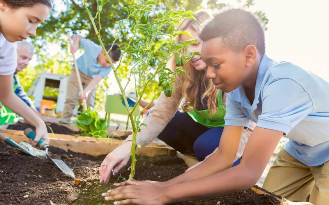 Entre as muitas diretrizes a proposta institui a disciplina de Educação Ambiental nas escolas.