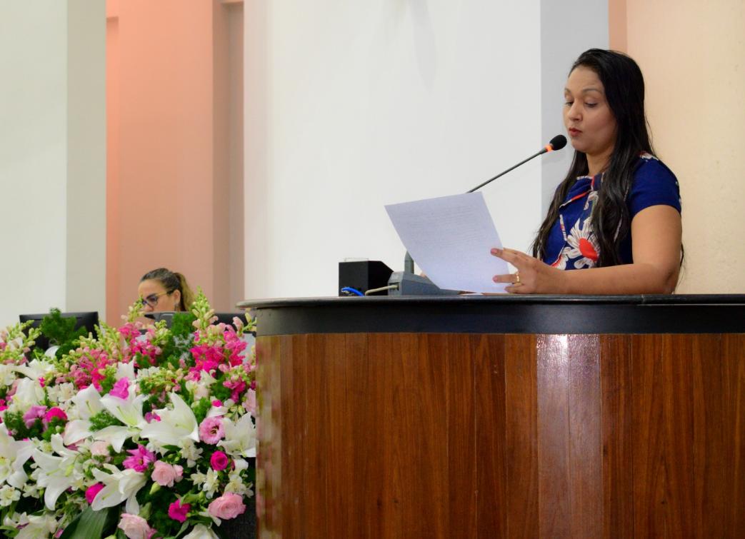 A parlamentar cobrou do Governo do Tocantins que busque a implantação de mais delegacias