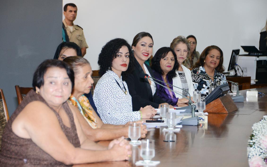 Deputada Luana preside sessão especial no Dia Internacional da Mulher