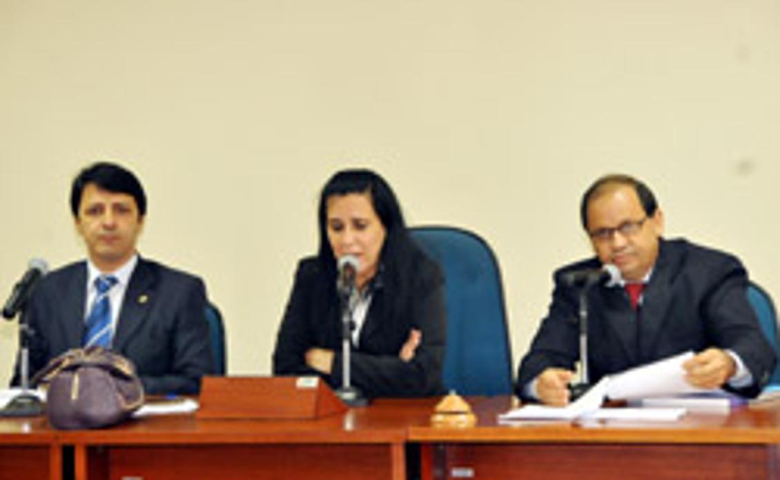 Reunião das comissões presidida por Amália