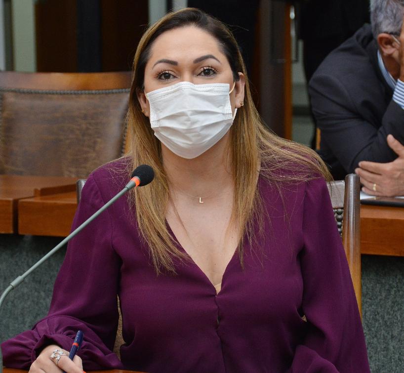  Requerimentos da deputada Luana Ribeiro são aprovados durante sessão da quarta, 9