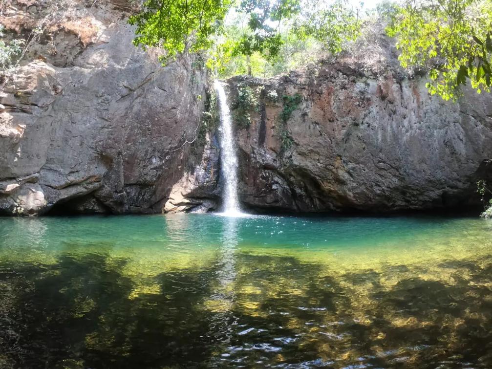 Uma excelente oportunidade para o estabelecimento de uma relação amigável com o meio ambiente.