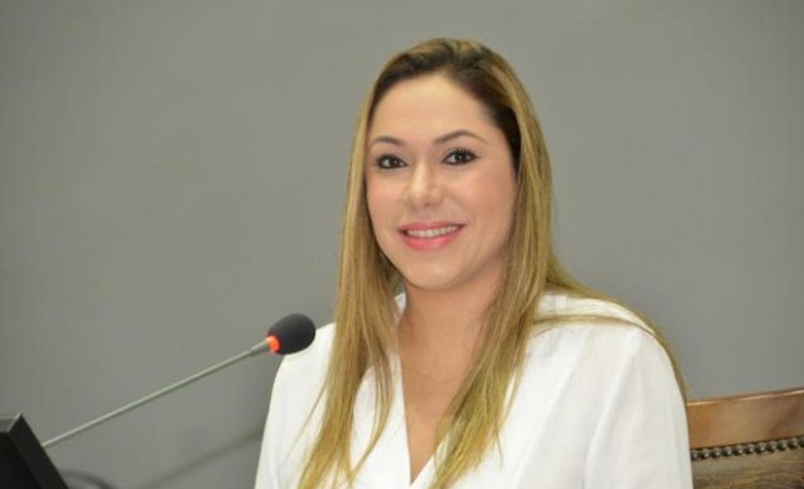 Luana apresenta projeto que regulamenta carreira jurídica de delegados de polícia 