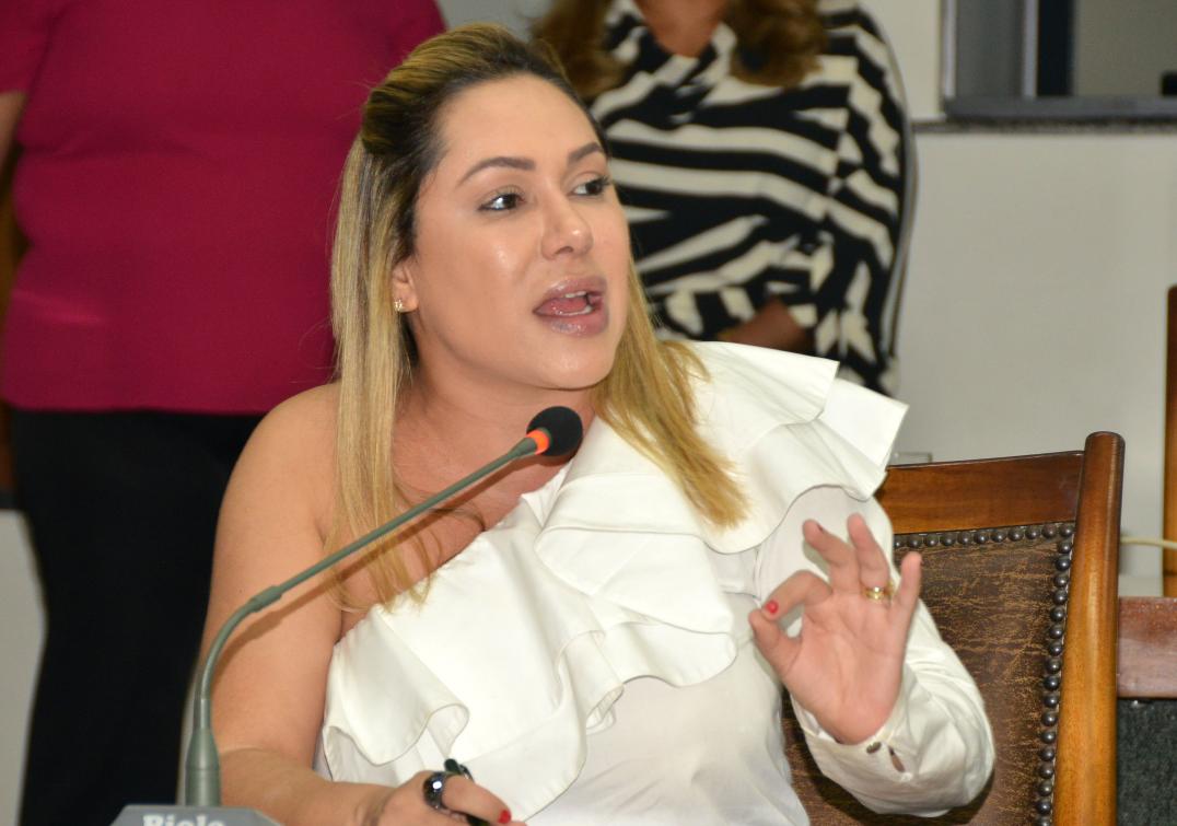 Luana Ribeiro apresenta projeto de lei sobre Política Estadual de Busca a Pessoas Desaparecidas