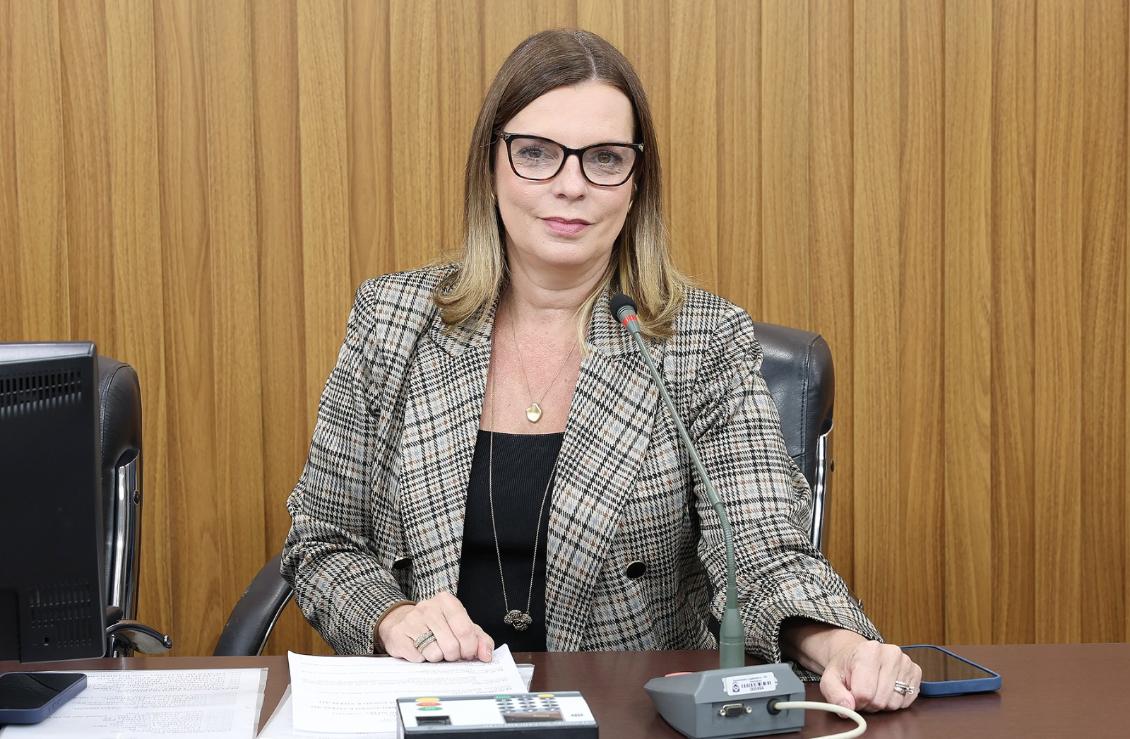 Discussões e votações foram conduizidas pela deputada Claudia Lelis (PV)